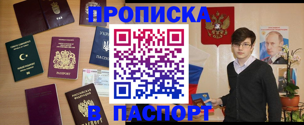 прописка 2025 в Мончегорске